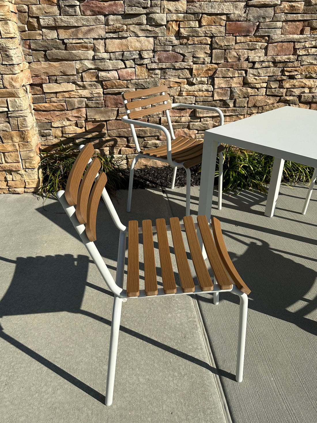 Blooming with Style and Function: The Daisy Collection